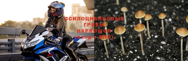соль курить ск Нефтекумск