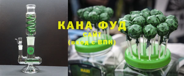 индика Нея