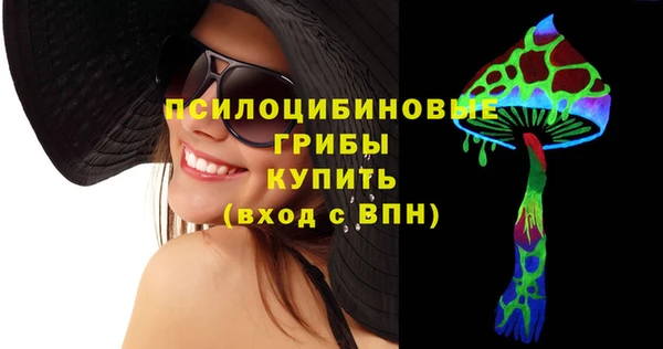 индика Нея