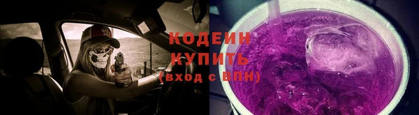 индика Нея