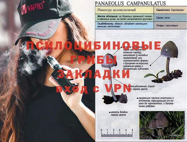 соль курить ск Нефтекумск