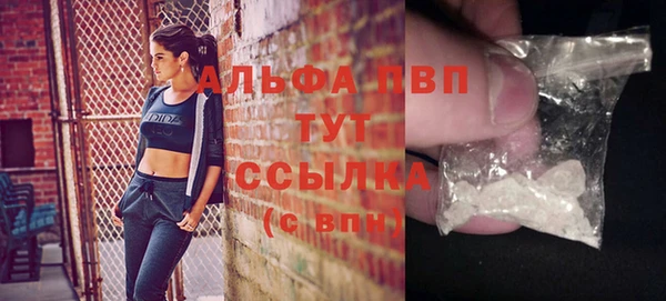 индика Нея