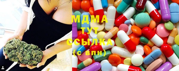 индика Нея