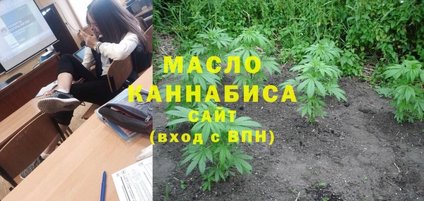 индика Нея