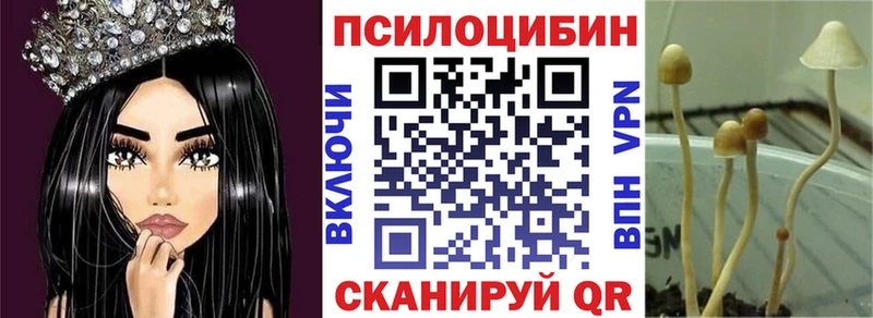 Галлюциногенные грибы прущие грибы Шарья